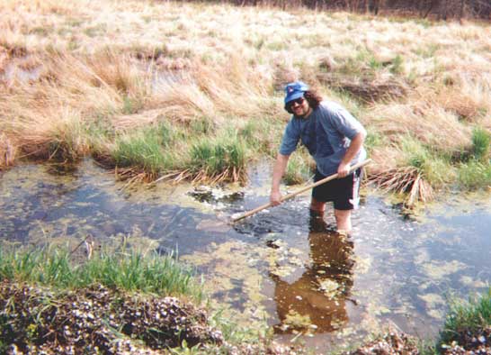 Bob in a Bog